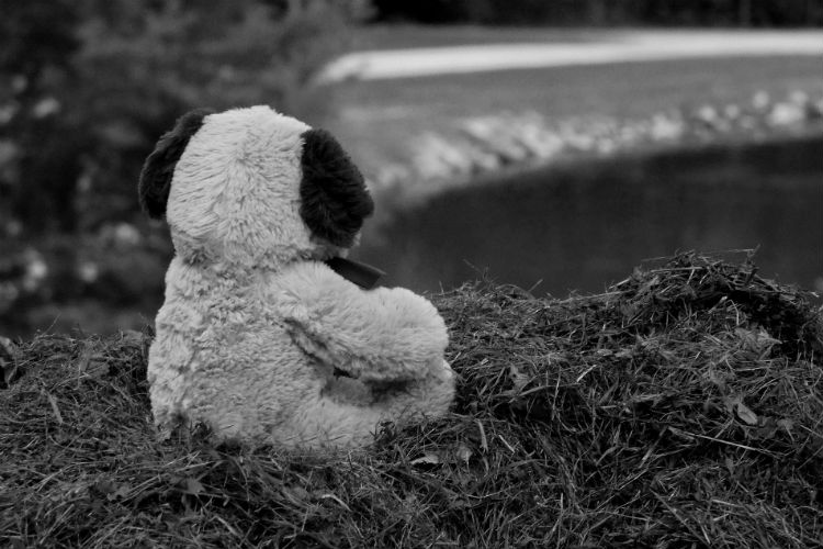 Ilustrativa. (Pixabay)