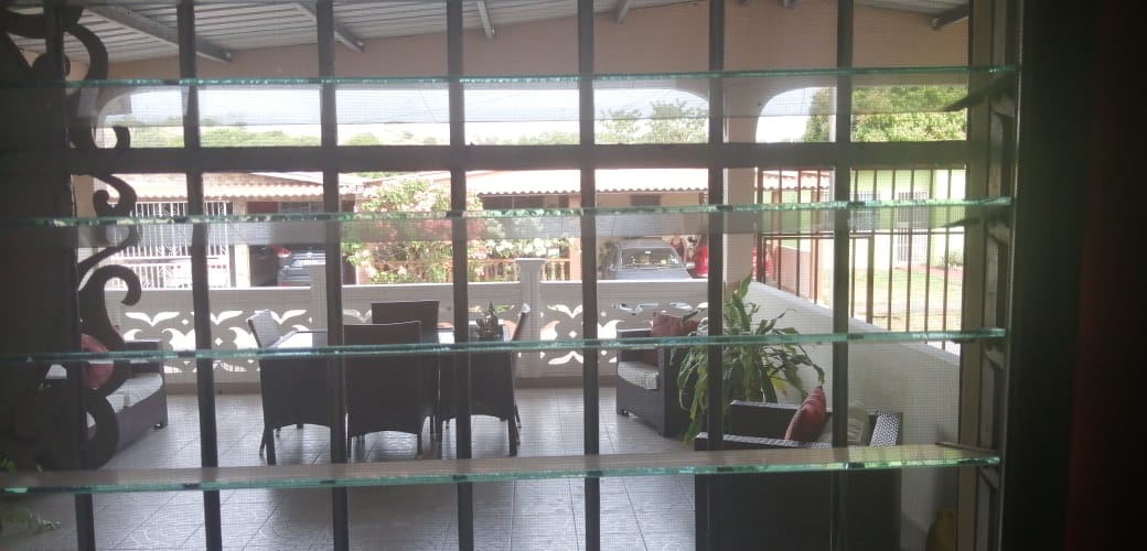 Observo la calle desde mi ventana.