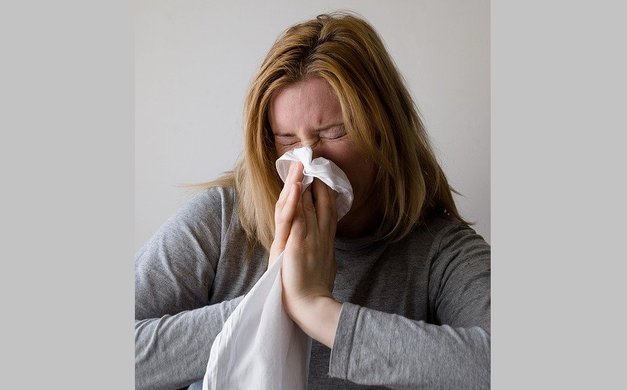 Foto: Ilustrativa - Pixabay