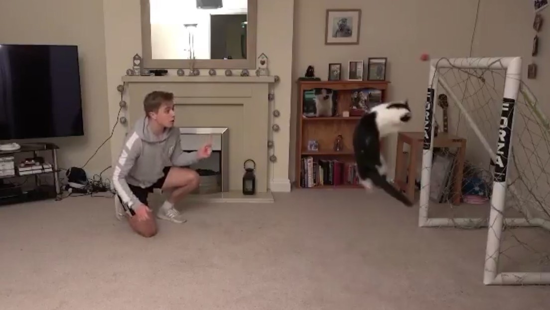 Foto: Twitter / Chris Dixon