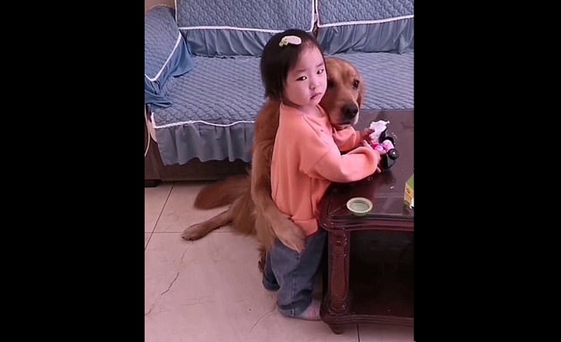 El can le dio un tierno "abrazo" a la niña.