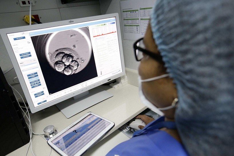 La fertilización in vitro es un proceso doloroso psicológicamente para aquellas mujeres que  quieren ser madres y que han recorrido un largo camino para intentarlo sin éxito. EFE