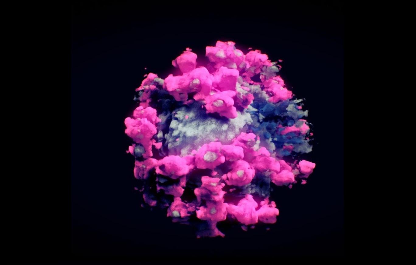 Para obtener la imagen se usó la técnica de tomografía crioelectrónica. EFe