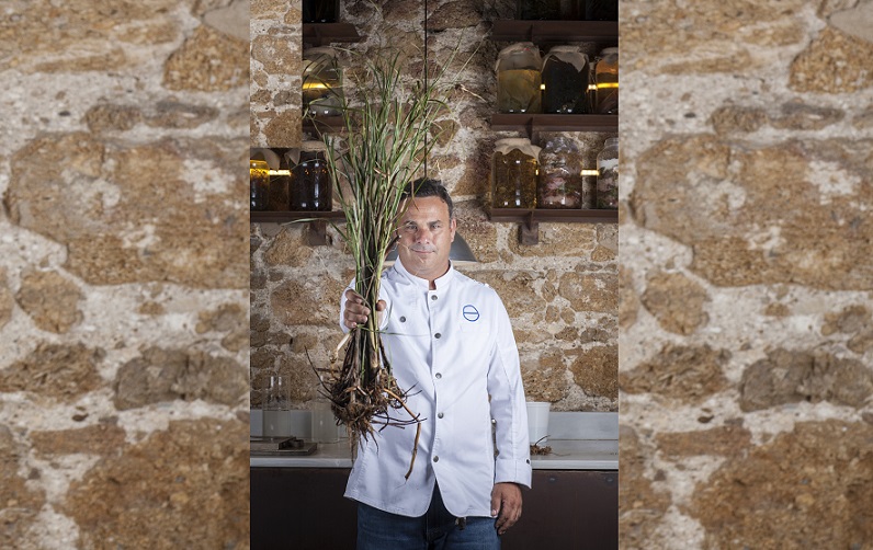 Desde la gran despensa oceánica llega un nuevo alimento y no es un alga. Se trata de una planta acuática con una semilla similar al arroz y unas cualidades nutritivas únicas. Además, su cultivo no requiere fertilizantes ni nutrientes adicionales. EFE