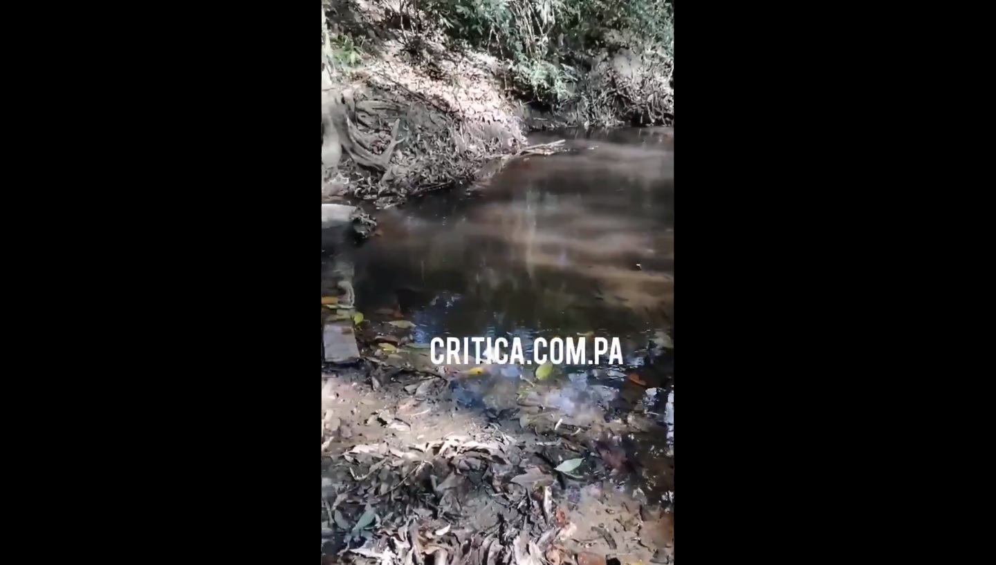 Vista general de una parte de la quebrada cuyas aguas están contaminadas.