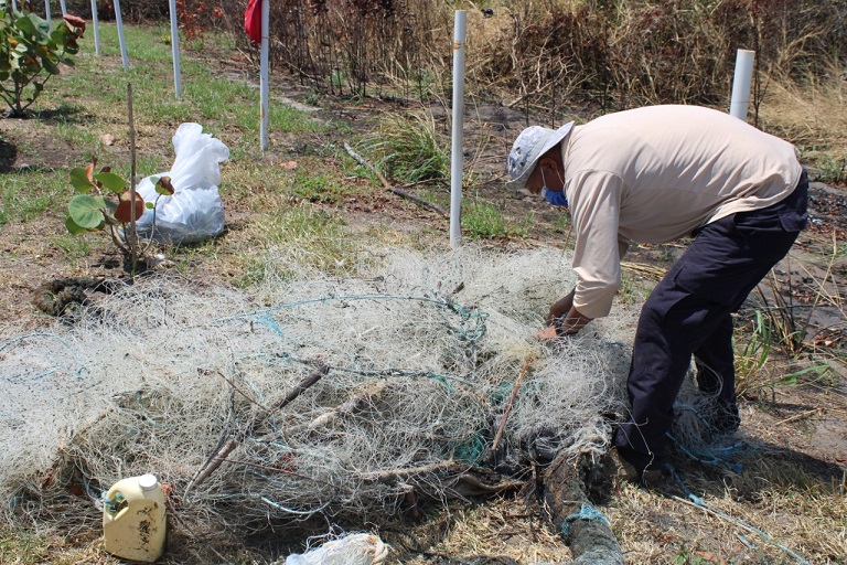 Las redes de pesca que son abandonadas además de convertirse en trampas mortales para peces y otros animales marinos.