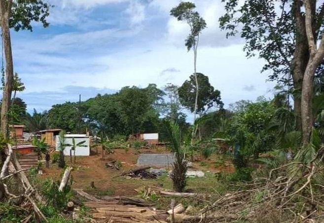 Personas están saltando de un lugar a otro, invaden, venden y saltan a otro lugar donde realizan la misma acción. 