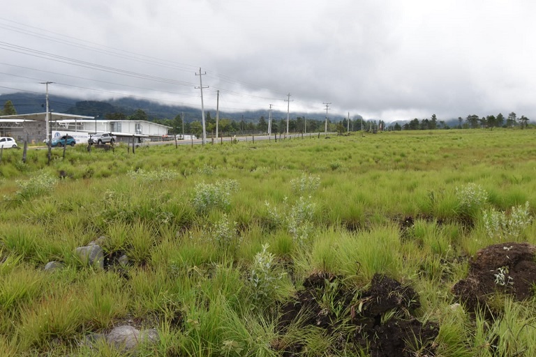 Este proyecto urbanístico contará con servicios básicos, área verde, carreteras internas y todo lo que conlleva estos proyectos.