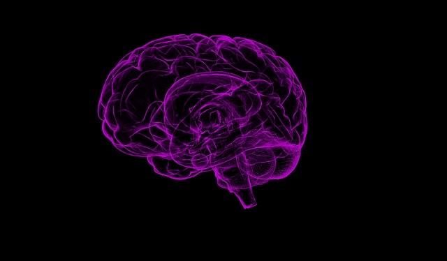 Cerebro humano. Imagen ilustratrativa Pixabay