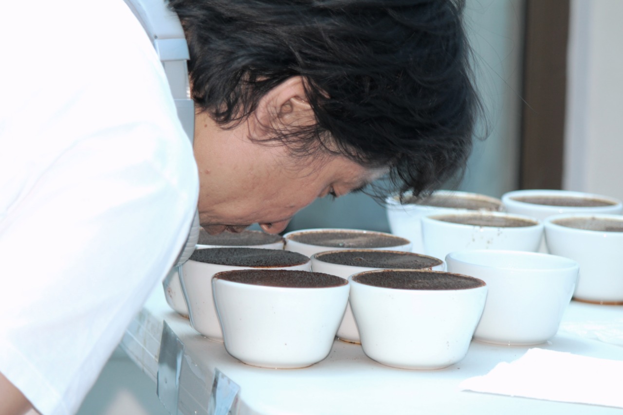 La catación se extenderá hasta el próximo viernes