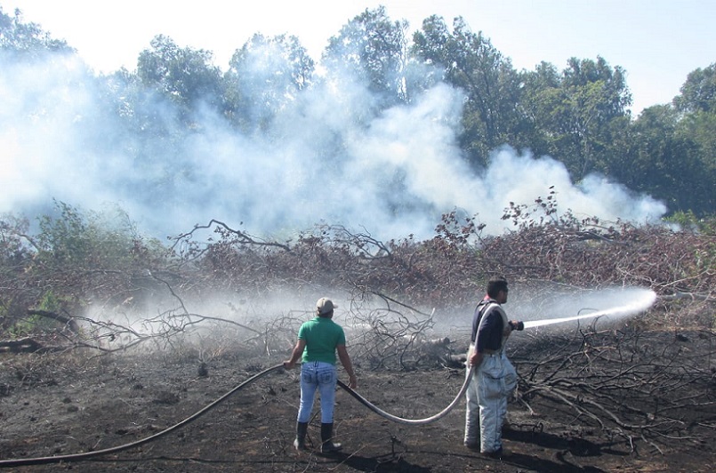 El año pasado se registraron 417.7 hectáreas afectadas por el fuego.