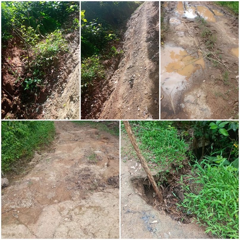 Residentes piden a gritos que rehabiliten la vía.