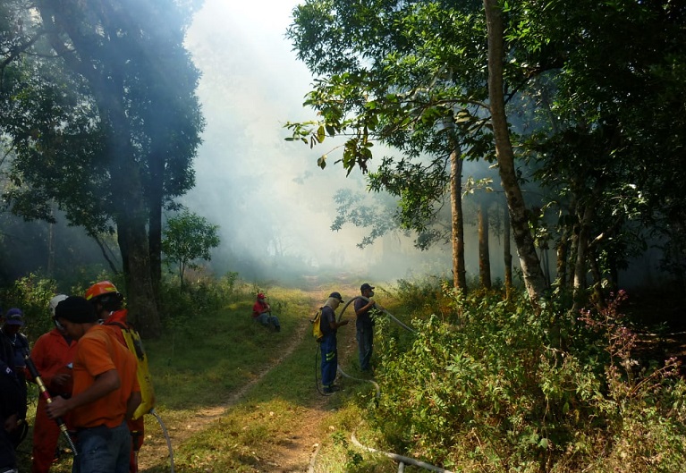 MiAmbiente contará con la colaboración de los estamentos de seguridad, municipalidades, organizaciones no gubernamentales y voluntarios.