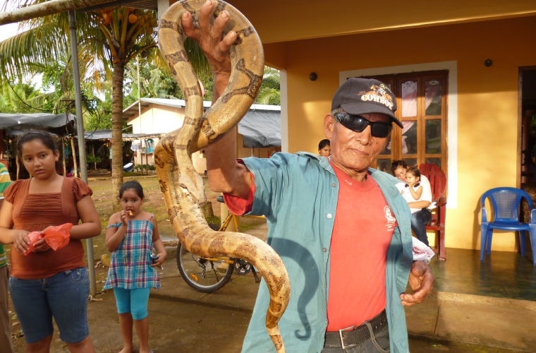 Coclé ha superado en casos de mordeduras de culebras a Veraguas. Melquiades Vásquez