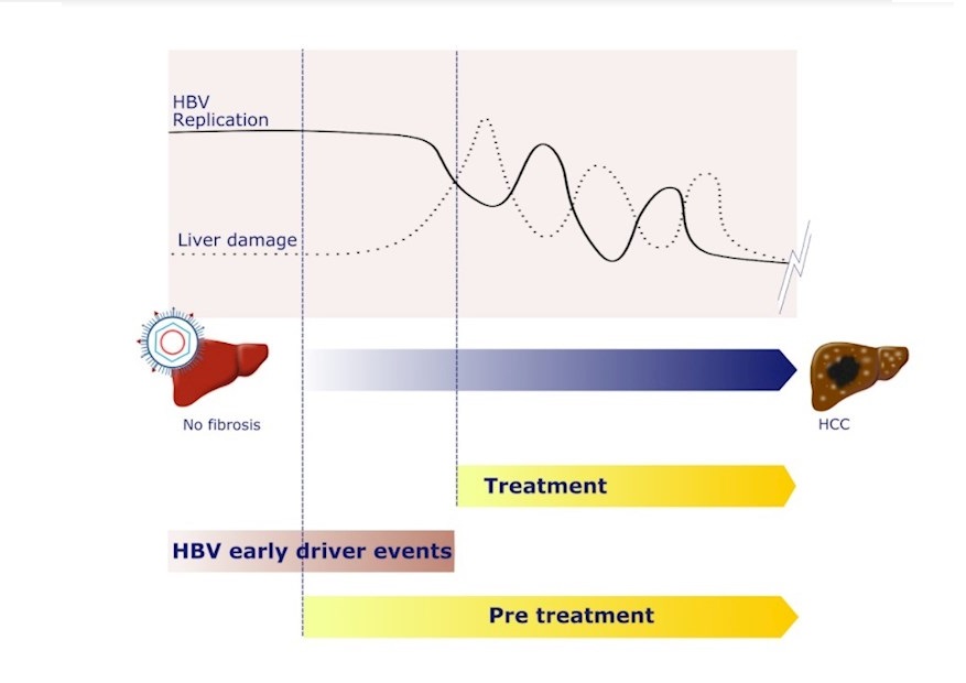 Nuevo hallazgo del CiMUS de la USC, publicado en Nature Communications, desvela datos genómicos que podrían ayudar a diagnosticar el cáncer hepático hasta dos décadas antes de que se manifieste.