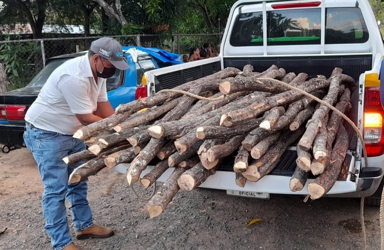 Se trata de una actividad que pone en peligro especies vulnerables como lo es el mangle.