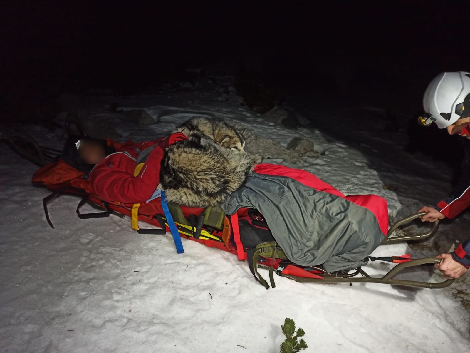 Los socorristas tardaron en hallar a Grga Brkic y a "North" por la nieve, el hielo y los árboles arrancados por los desprendimientos de tierra. Foto: @HrvatskaGSS 