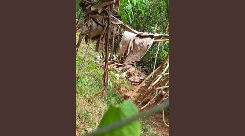 Han llamado a la Policía y no se han presentado.