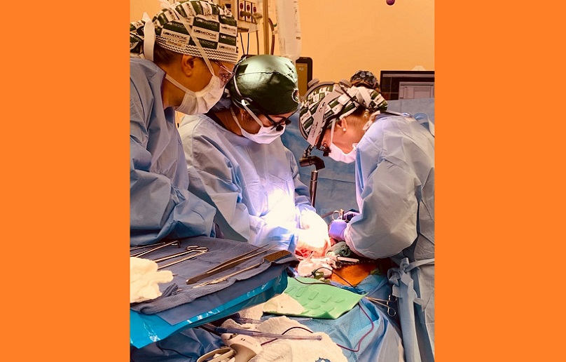 Un equipo de investigadores estadounidenses ha logrado trasplantar con éxito dos riñones de cerdo modificados genéticamente a un humano que se encontraba en muerte cerebral.