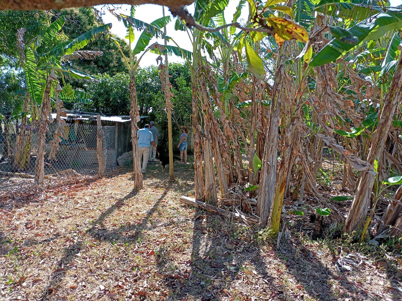 La inspección permitió encontrar múltiples factores de riesgo en los alrededores de la vivienda.