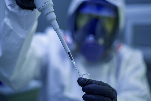 Moderna desgranó que el suero en estudio para el virus del herpes simple va dirigido al tipo HSV-2, que infecta principalmente los genitales. Imagen Ilustyrativa: Pixabay