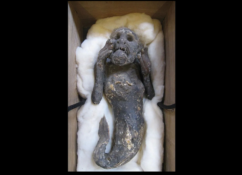 Científicos la estudiarán para determinar si es verdadera.