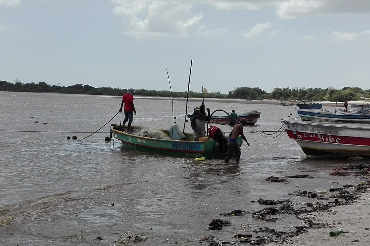 Pescadores artesanales de Puerto Caimito.