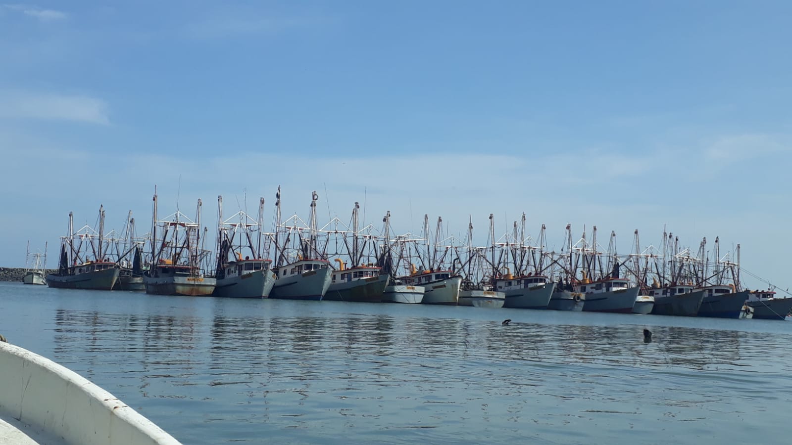 Desde el puerto pesquero de Vacamonte en Arraiján, zarparán 135 barcos industriales; además de 329 embarcaciones artesanales ya certificadas.