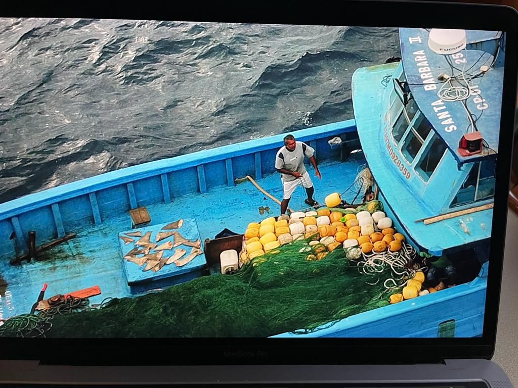 Las sanciones que se apliquen son para desalentar y eliminar la pesca ilegal, no declarada y no reglamentada dentro de las aguas jurisdiccionales panameñas. 