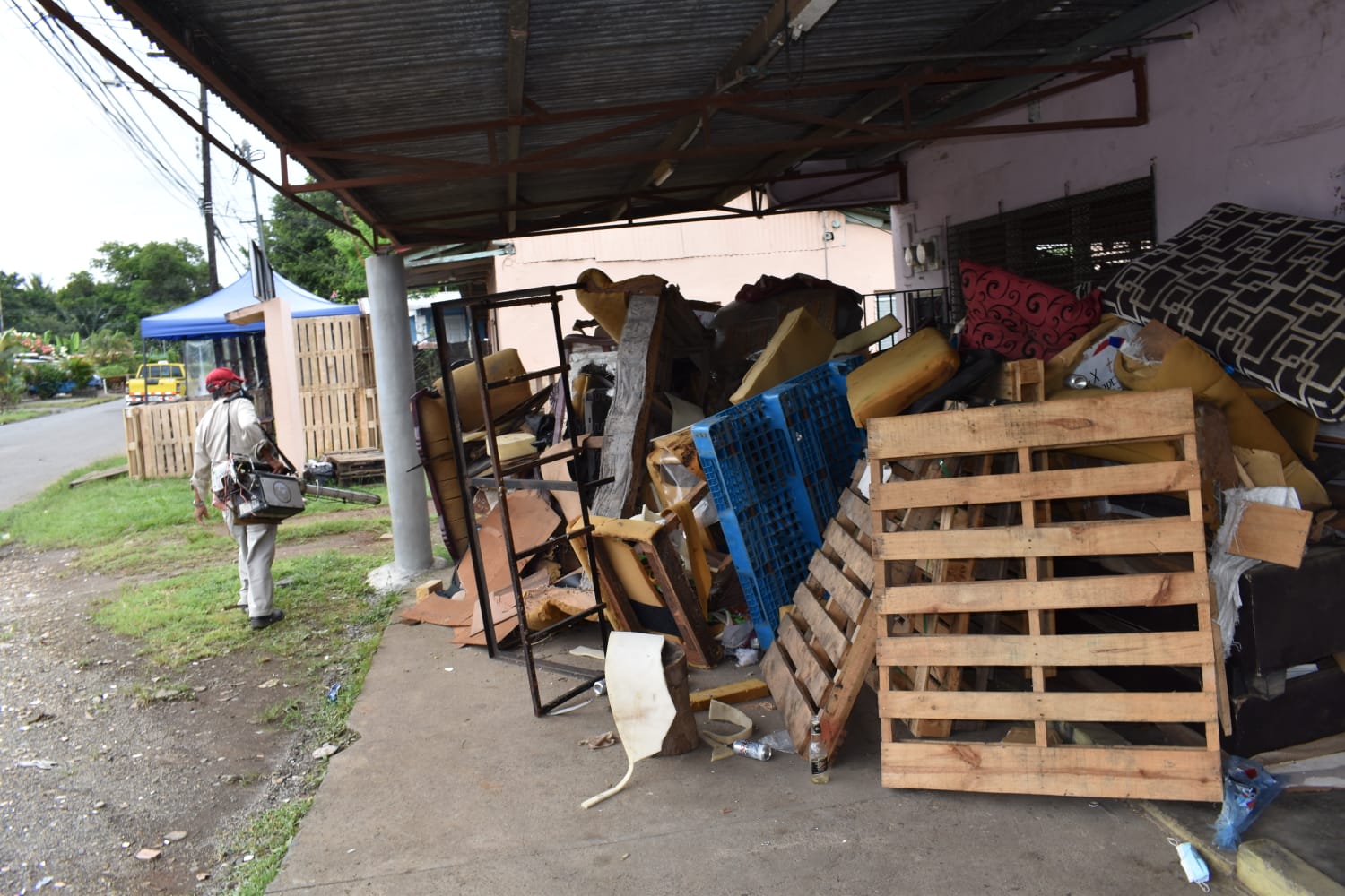 La semana pasada, ocho de cada cien predios inspeccionados por inspectores del ministerio en San José de Las Lomas, distrito de David, tenían criaderos activos de aedes aegypti,