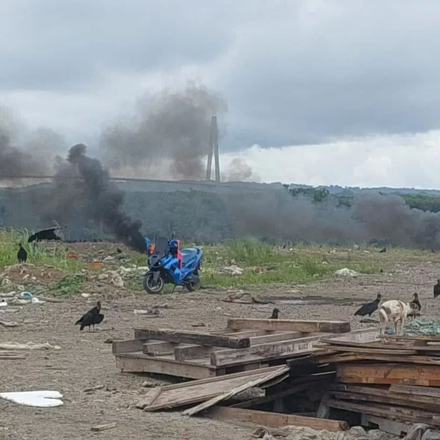 La empresa de recolección de la basura se queja que personal ha sido amenazado por los pepenedores. 