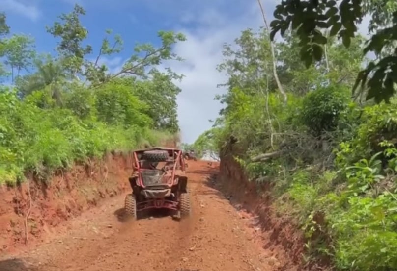 Camino de producción en Los Santos.