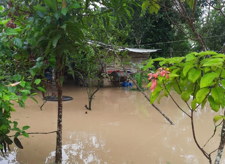 Bomberos monitorean ríos en las fincas bananeras, en Barú.
