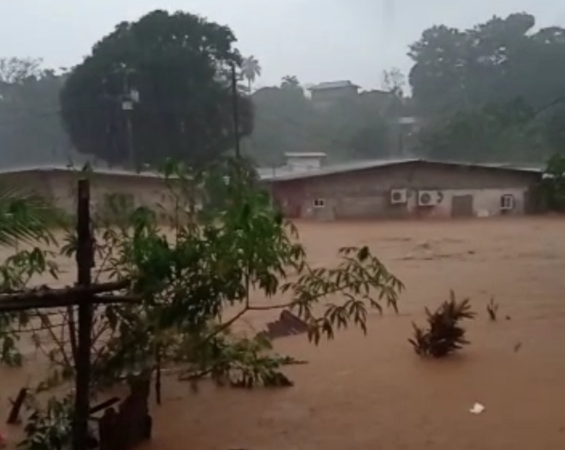 Varios comercios y viviendas se vieron afectados con el ingreso del agua.