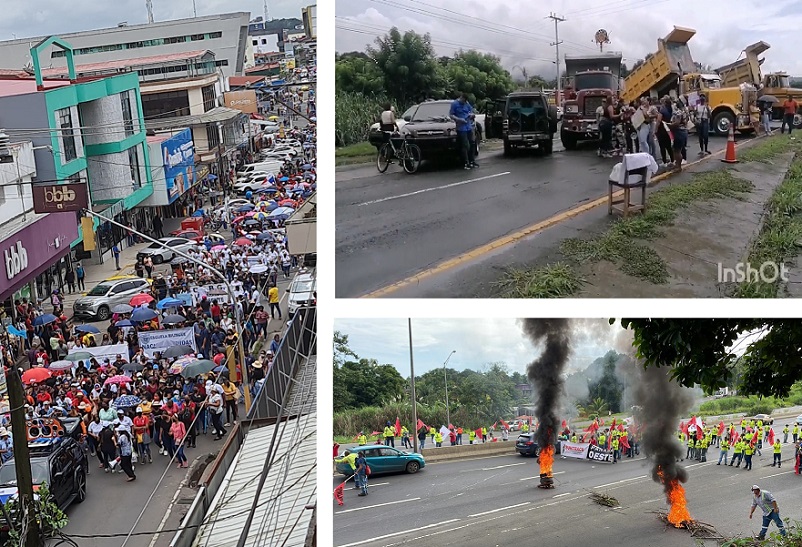 A la marcha se sumaron docentes de centros escolares que estuvieron impartiendo clases hasta el pasado viernes.