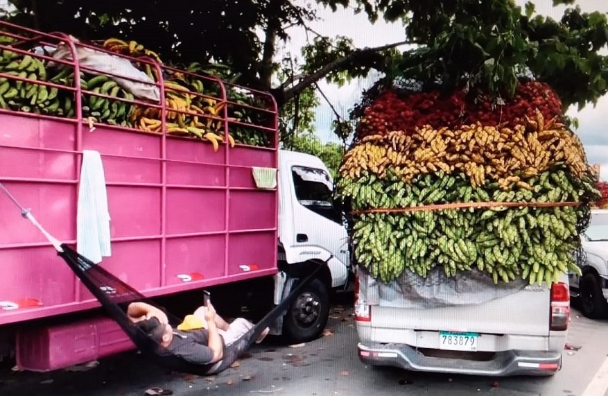 Los cierres impiden que los camiones articulados y pick-up puedan llegar a Merca Panamá. 