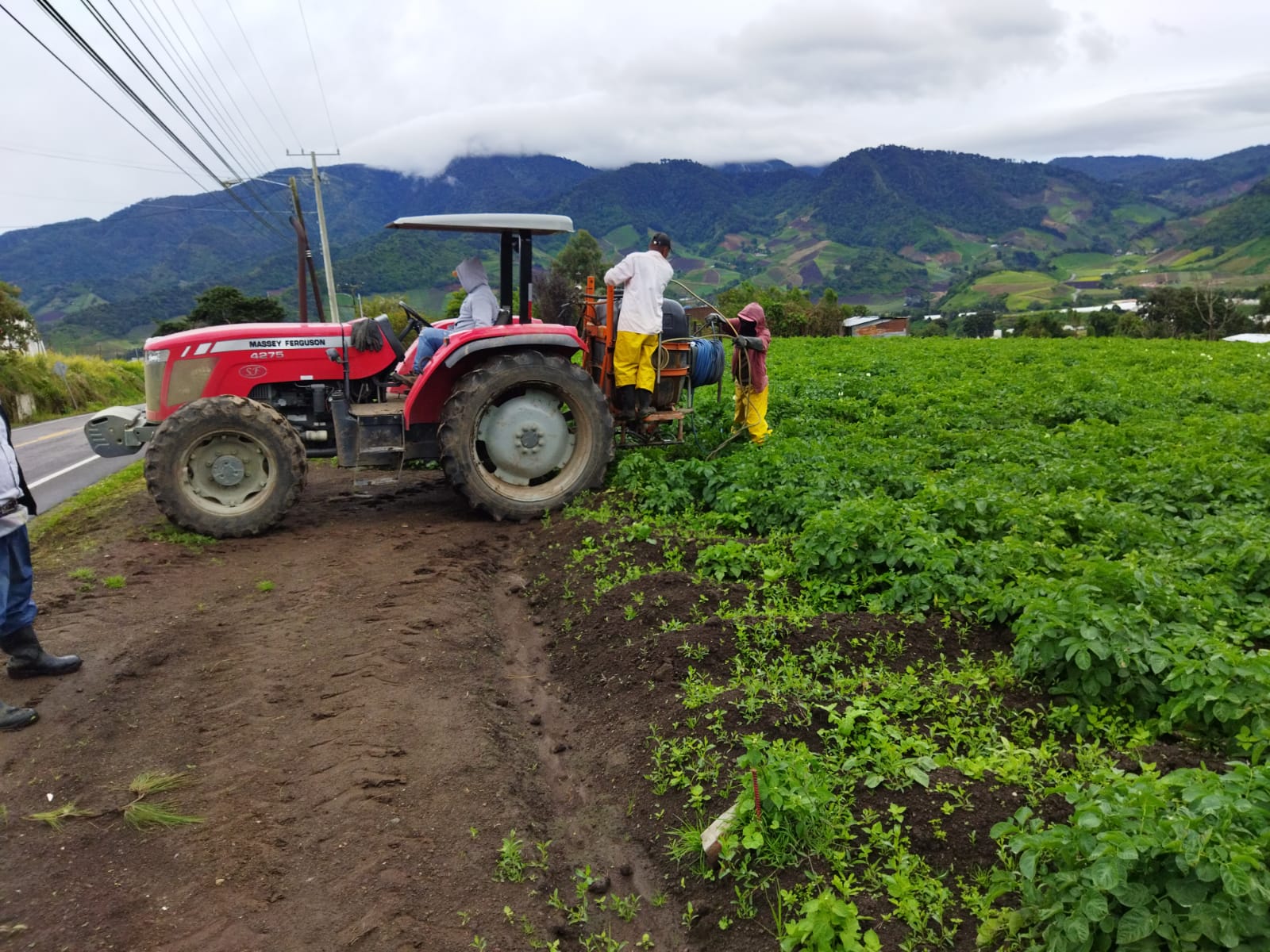 Debido a la falta de comercialización del producto, no tienen como hacer frente al pago de los trabajadores.