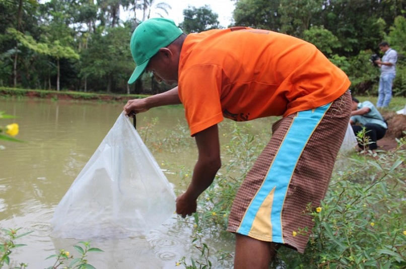 La primera fase del proyecto implicó la siembra de 2 mil alevines de la tilapia gris y la tilapia roja, además de carpa común, caracol, almejas y colosoma.