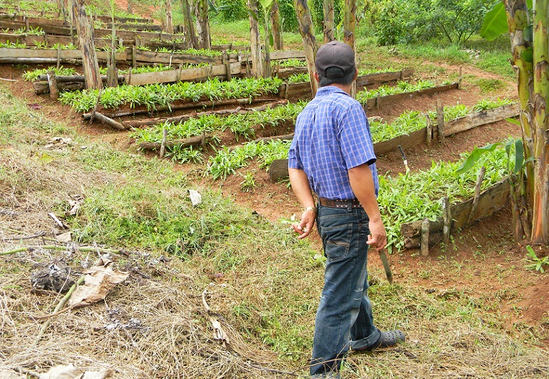 Los pozos son una herramienta útil en tiempos de sequía para evitar la pérdida de cultivos.