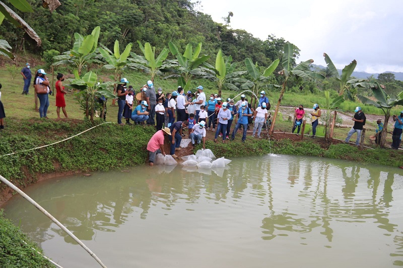 En esta primera fase del proyecto, fueron sembrados 2,700 alevines de tilapia.