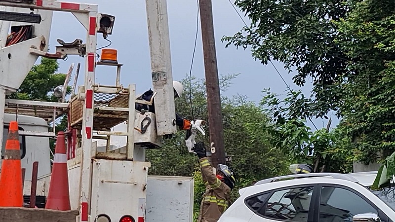Maya se subió al poste y luego no supo bajar, causando preocupación por su vida. 