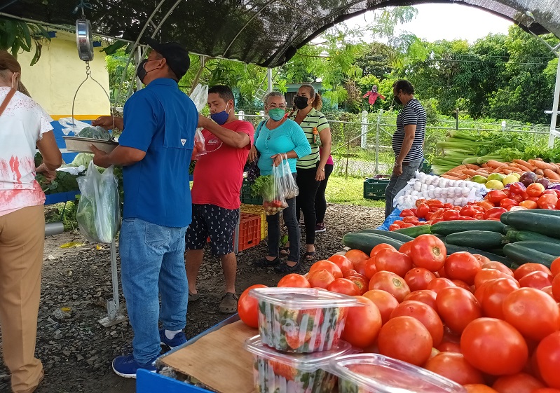 Las agro tienda son parte de las estrategias que adelanta el gobierno nacional, para aliviar el alto costo de la canasta básica