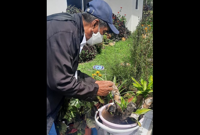 El Minsa realiza nebulizaciones y operativos para detectar criaderos de mosquitos, transmisores de la malaria y el dengue.