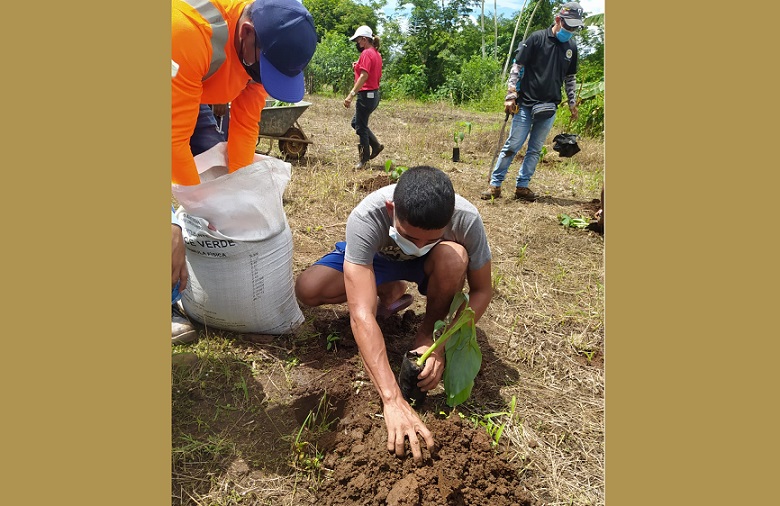 Agrónomos de Centroamérica y el Caribe se reunirán en Panamá.