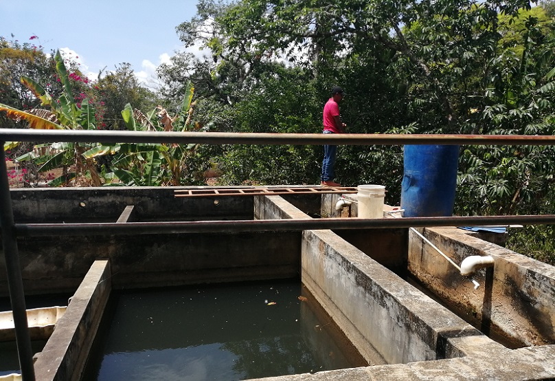 Acueducto rural de la comunidad de Río Indio Los Chorros.