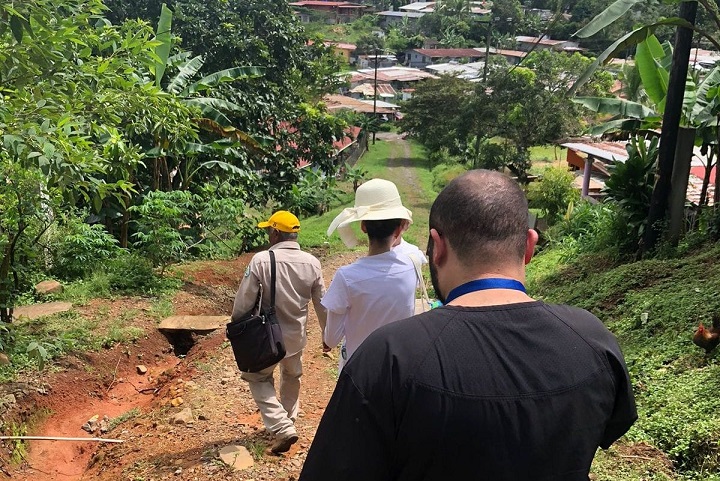 El mayor número de casos se registra en pacientes entre las edades de 10-14 años y de 30-34 años.