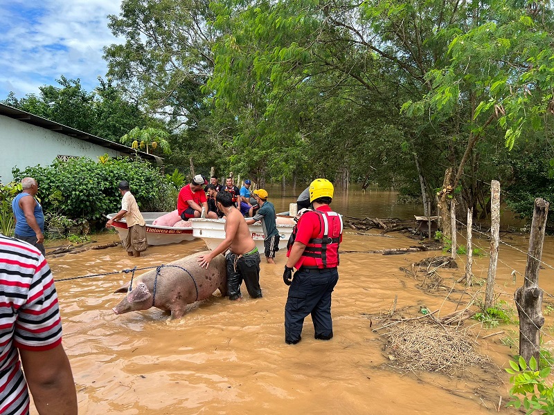 Otra alternativa planteada es la reubicación de sus porquerizas a un sitio seguro.