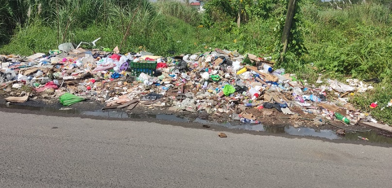 También implementar es una línea de atención ciudadana para la recepción de quejas e información sobre la mala disposición de los desechos. 