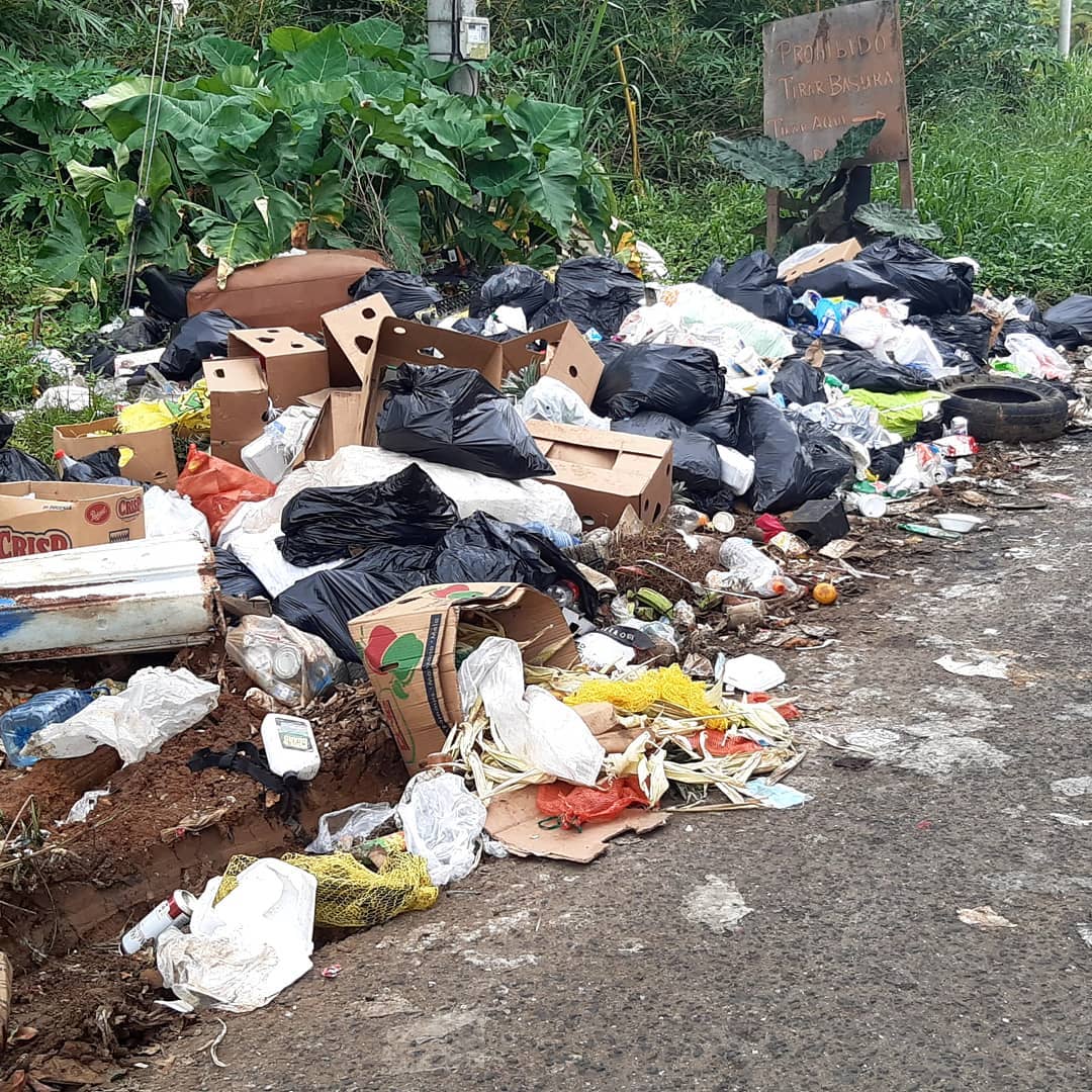 Hartos de la basura; las quejas siguen | Critica