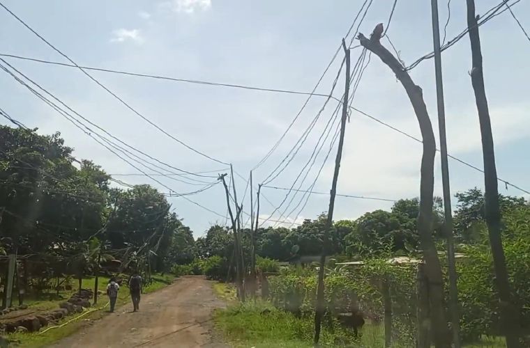 En el Progreso, Corregimiento de Puerto Caimito, en La Chorrera, hay una maraña de cables en improvisados troncos secos. FOTO/ERIC MONTENEGRO